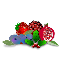 House Juice - Sweet Winterberry - Higgy's